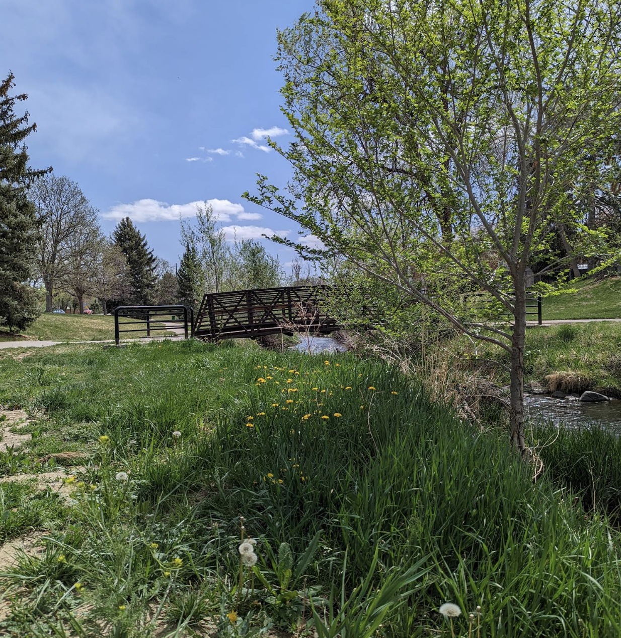 🌿 Arvada’s main trails, explained