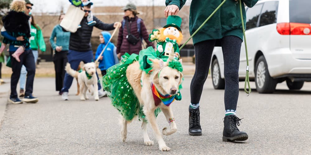🍀 St. Patrick’s Celebrations Around Boulder