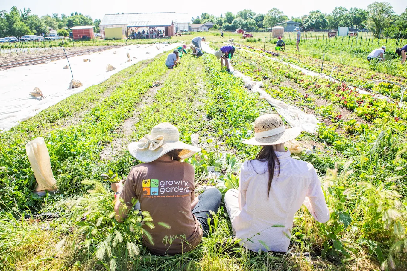 💎 Boulder’s Hidden Gems (That Deserve the Hype)