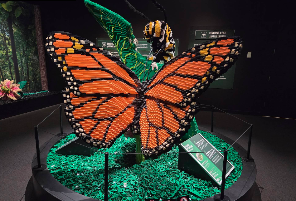 🧱 A Whole Planet, Built Brick by Brick