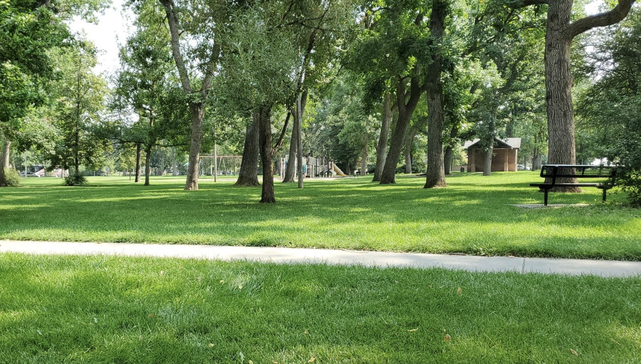Longmont’s Leafy Love Story 🌳