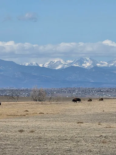 🌾 Wild & Wide Open at Rocky Mountain Arsenal National Wildlife Refuge