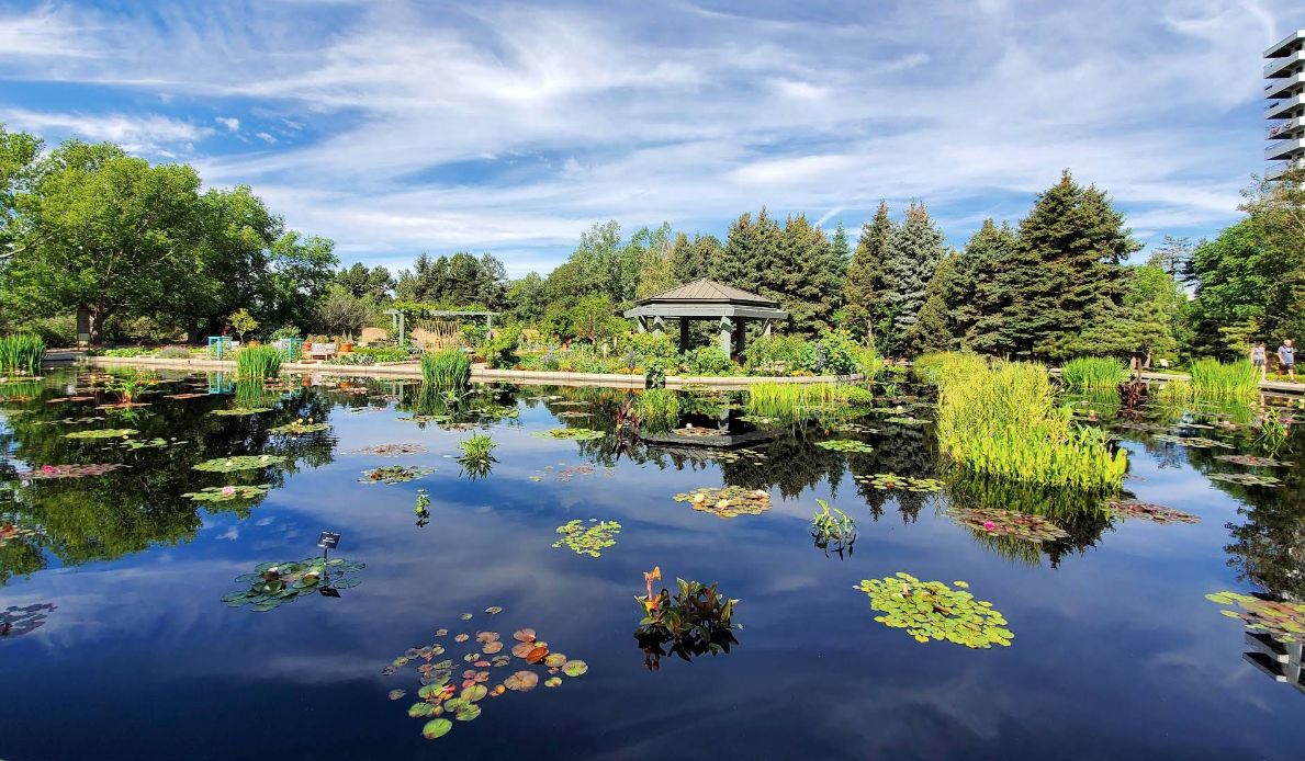 Denver Things to Do When Your Parents Visit