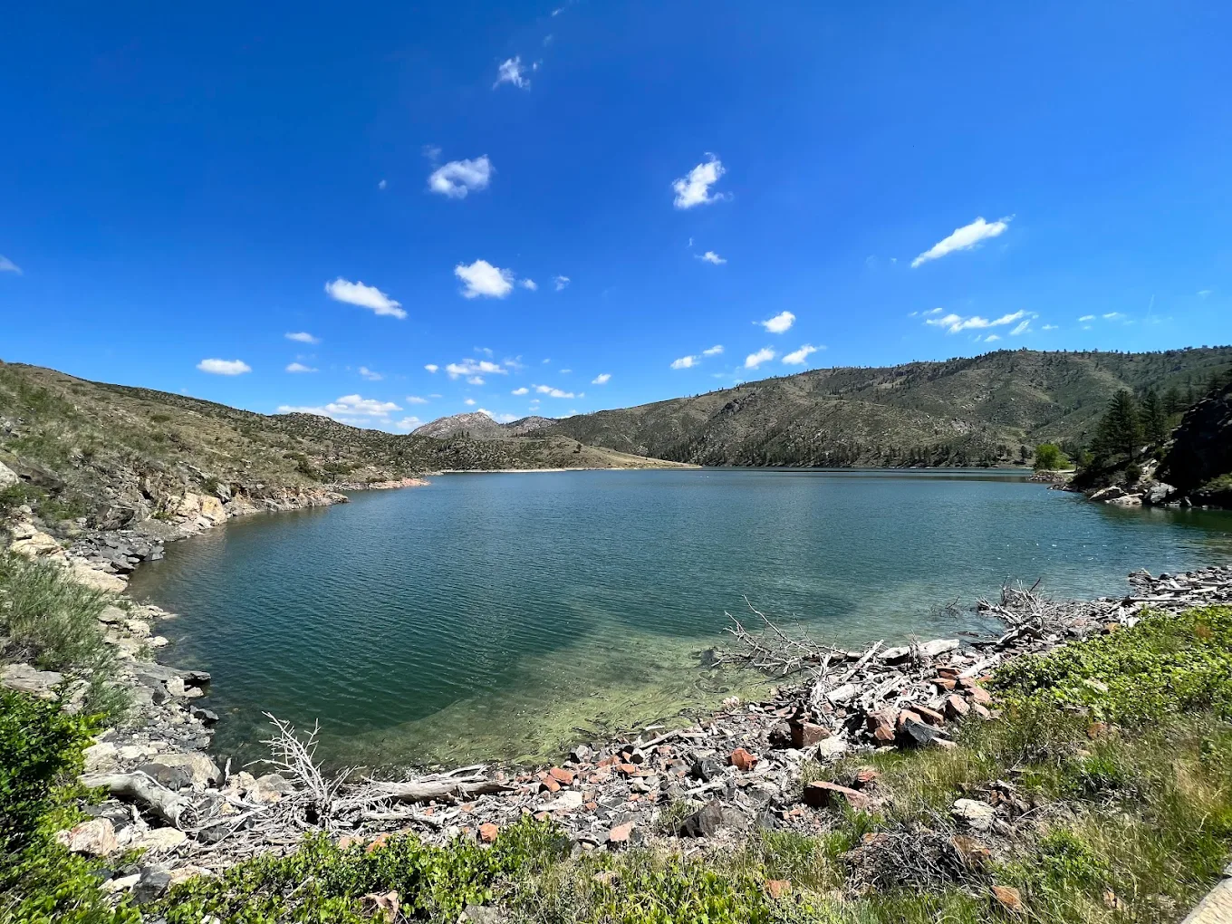 🌿 Crowd-Dodging Picnic Picks