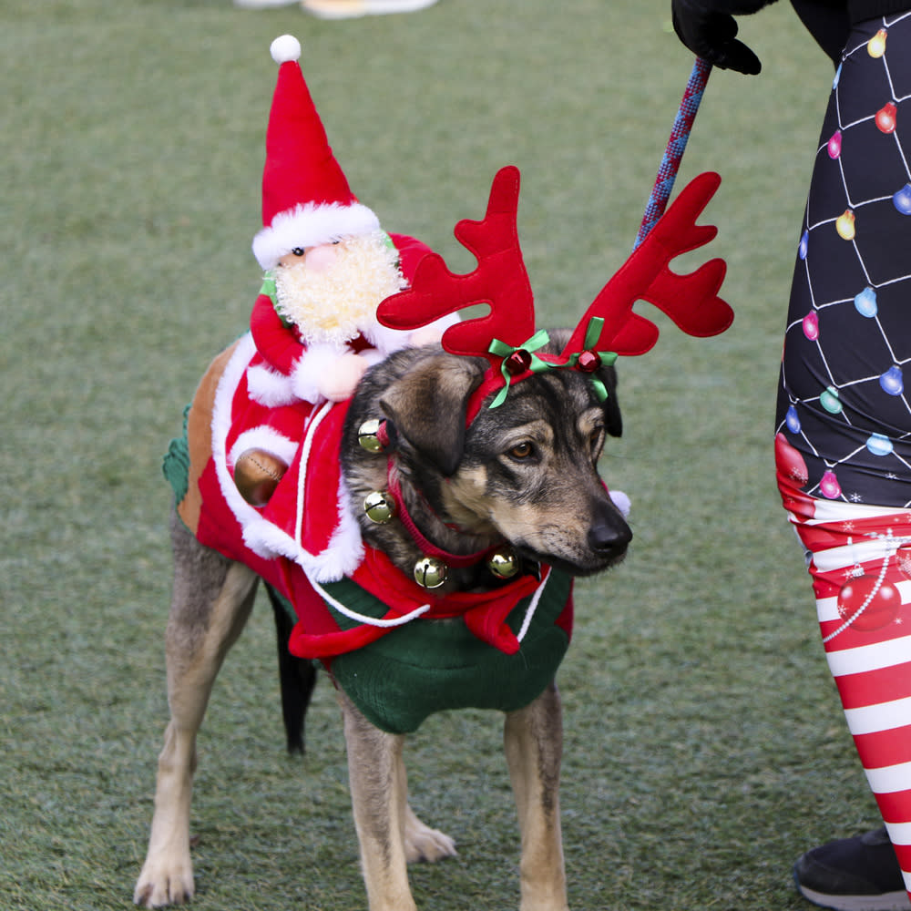 🎽 The Sweaty Sweater 5K