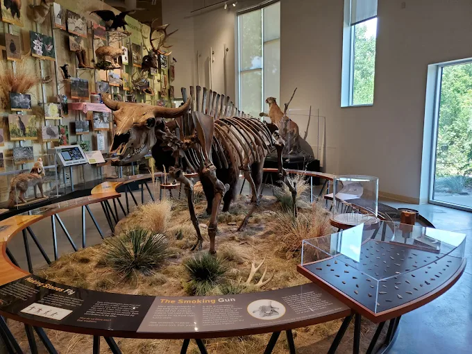 🎨 Museums & Galleries: Where Fort Collins Shows Off Its Creative Side