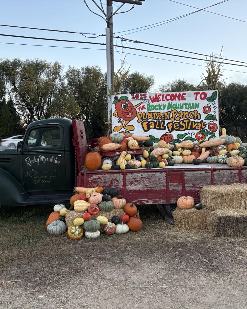 🎃 Pumpkin Season Is Here — And It’s Bursting with Fun!