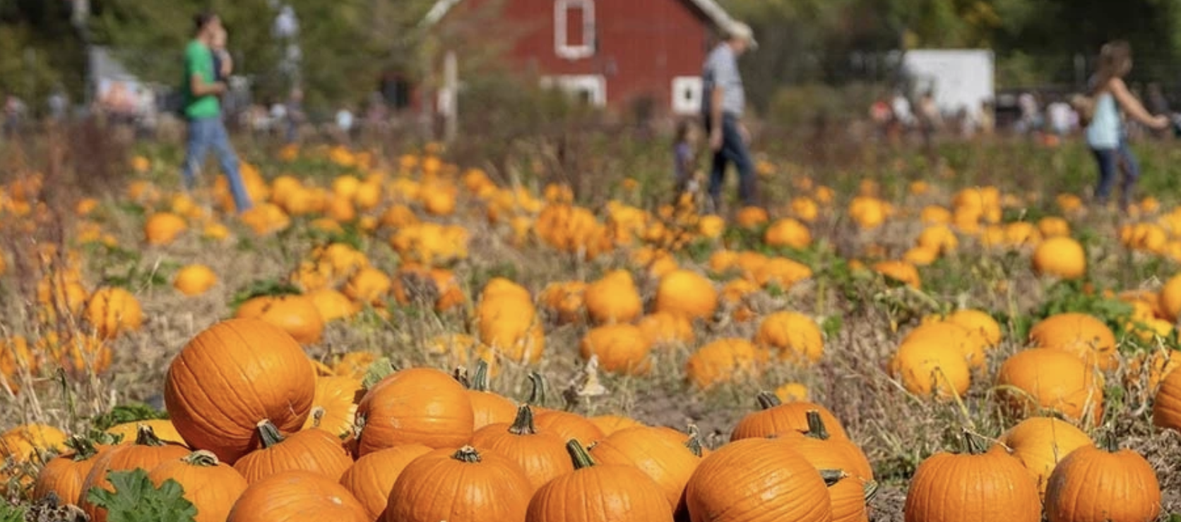 🍂 Denver in October: Festivals, Frights & Fall Fun