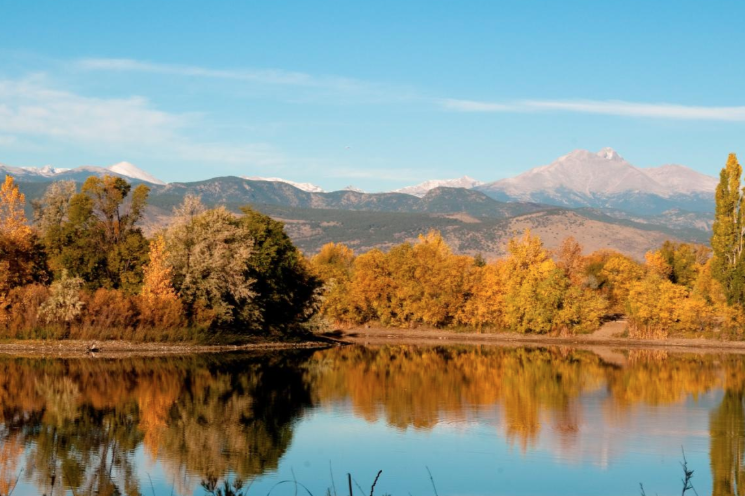 Screenshot 2025-08-15 at 9.57.39 AM.png