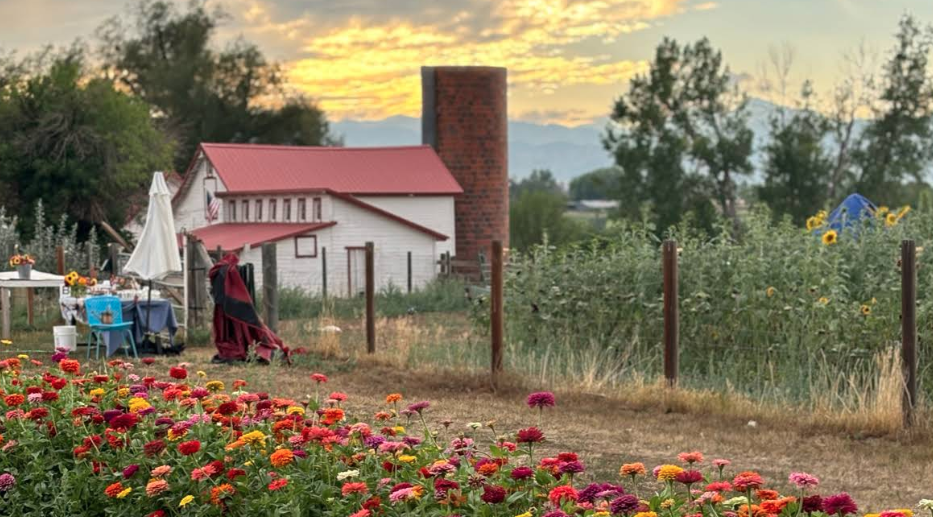 🌼 Balto Farms: Where Boulder’s Past and Present Bloom Together