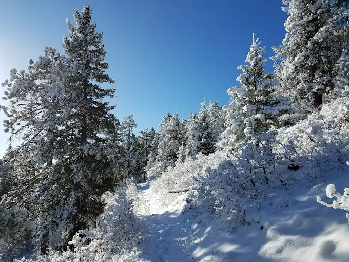 ❄️ Winter Hiking Win: Deer Creek Canyon Park