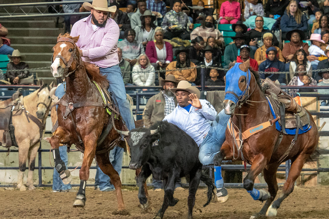 ✊🏾 Honoring Dr. King Across the Mile High City