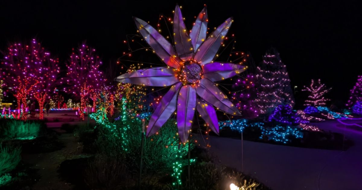 Get Your Glow On at Garden of Lights ✨