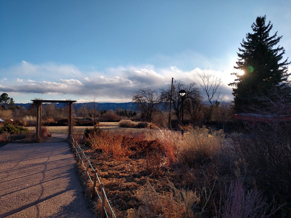 🌿 Best Free Things to Do in Arvada: Majestic View Park and Nature Center