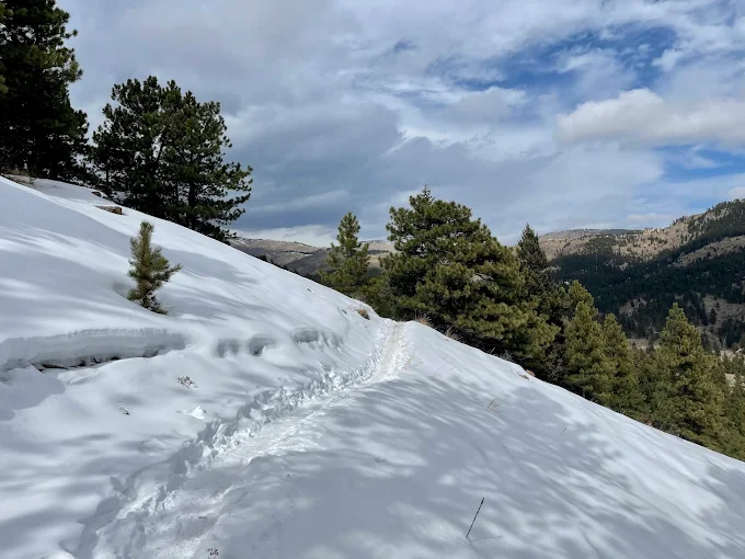 ❄️ Winter Hike Monday: Canyon Loop at Betasso Preserve