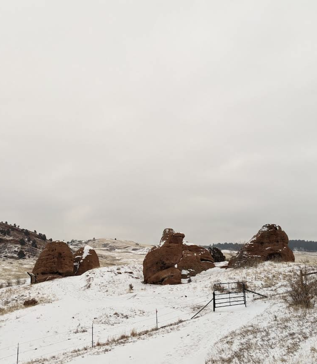 Winter Views, Easy Trails & Quiet Moments in Longmont