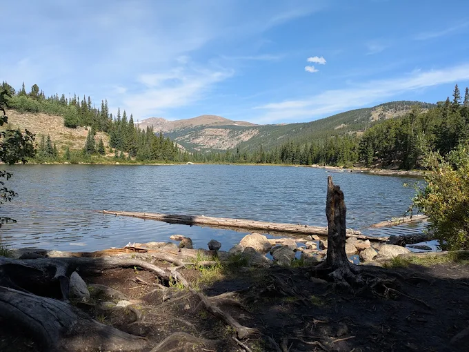 🌲 Explore the Wild Side: Arapaho & Roosevelt National Forests