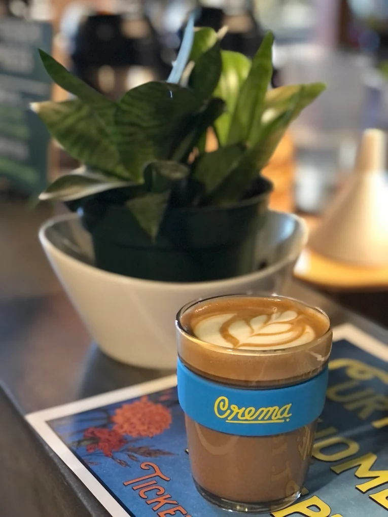 ☕ Denver’s Best Coffee — You Voted, We Sipped