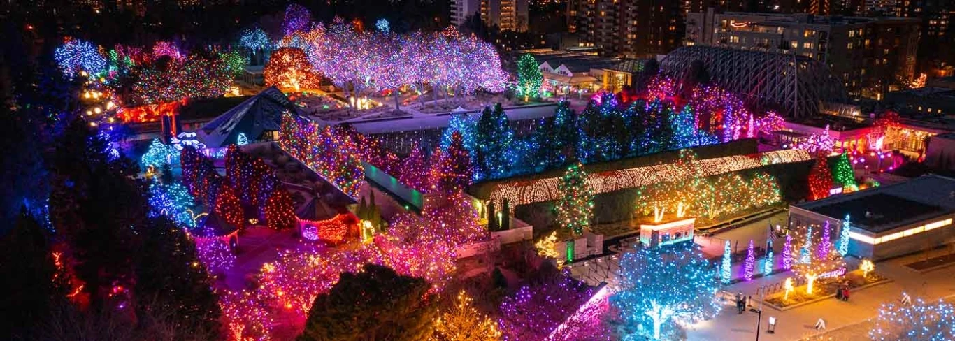 ✨ Blossoms of Light: Denver’s Most Magical Mile Returns