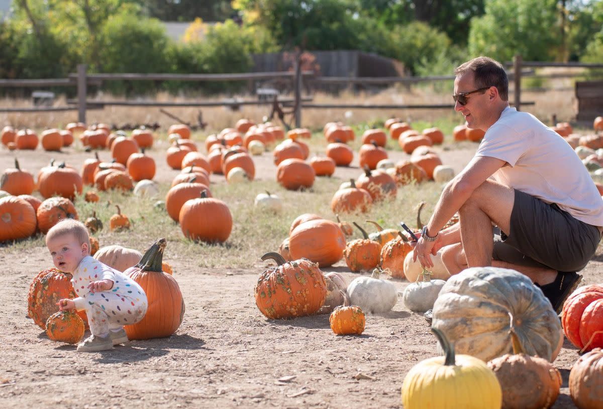 🎃 Fall Weekend in Denver: Pumpkins, Parades & Pure Autumn Vibes