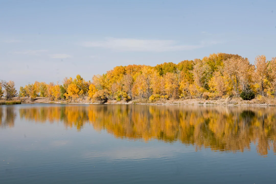 🍂 Walk This Way: FoCo’s Fall Stroll Spots