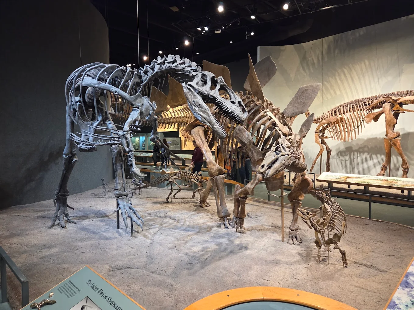 unnamed - 2025-11-05T205117.329.webp