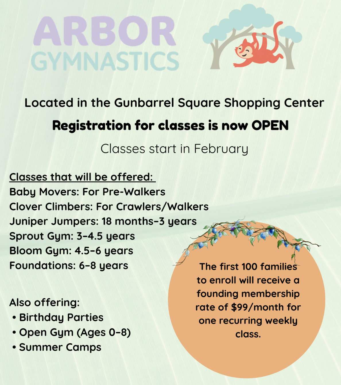 Arbor Gymnastics Grand Opening!